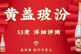 50多元的黄盖玻汾好不好喝？汾酒详细白酒评测，玻汾是不是口粮王