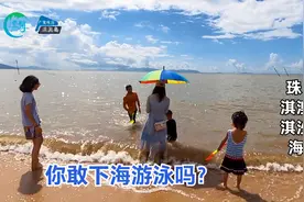 实拍珠海淇澳岛淇沙湾的海滩，这样的海水，你敢下去游泳吗？