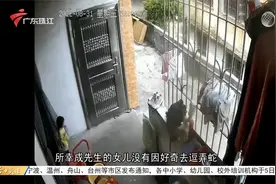 清远阳山：蛇出没民宅幸没伤人 市民应小心防范视频封面
