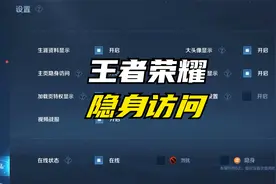 王者荣耀访客不能查看隐身访问的人