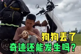 陪伴我穷游中国9个月的狗狗意外丢失，已经5天了，还能找回来吗？视频封面