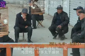 阳谷莲花池、闫堤、李台、刘堤、胡沙窝七先生的画眉争鸣21.4.16视频封面