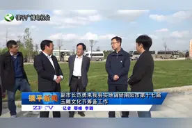 南阳市副市长范勇来镇平县实地调研第十七届玉雕文化节筹备工作视频封面