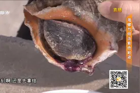买的海螺冒紫水，是保存手段还是不新鲜了？来天津码头探探究竟视频封面