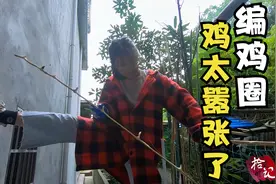 四川南充农村姑娘砍竹子围鸡圈，差点把房子打垮了，真是太搞笑了