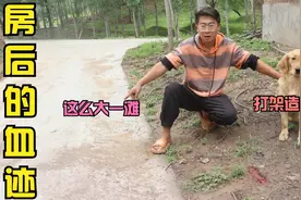 房后无故出现一大滩血迹，可晚上没听到任何响动，这是怎么造成的视频封面