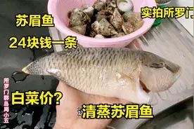 小五去市场花24块钱买了一条苏眉鱼，清蒸苏眉鱼，媳妇说太好吃了