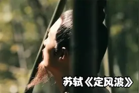 苏轼《定风波》：竹杖芒鞋轻胜马，谁怕？一蓑烟雨任平生