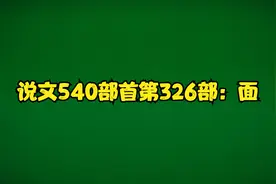 说文540部首第326部：面视频封面