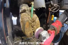 西班牙斗牛牛蹄受伤治疗，全程极度解压视频封面