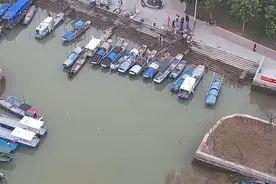 广东多水域禁渔为期4个月，渔政部门将足额发放禁渔期生活补贴视频封面