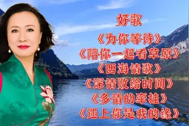 《遇上你是我的缘》《为你等待》《陪你一起看草原》《西海情歌》