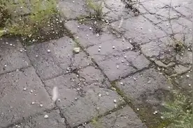 北京延庆突降冰雹，如弹珠般砸向地面 风雨过后天空又现彩虹视频封面