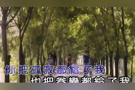 汪峰-闪亮的日子,年少不懂曲中意，在听已是曲中人视频封面