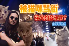 “猫咪骂街”被改编成了暖心歌曲？这是一个被猫带火的音乐家！