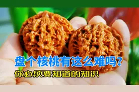 核桃盘的又黑又脏？原来没做好这几点，两分钟教你盘出透亮的核桃