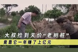 江苏大叔捡破烂谋生，竟把一个老树桩卖出了天价，净赚上亿元！视频封面