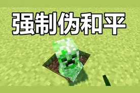 【我的世界】1.14简易伪和平装置，让怪物再也刷不出来