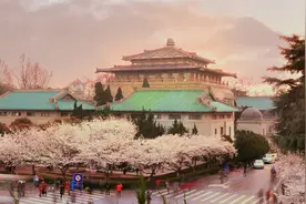 武汉大学为何总是被争议它凭什么能够鹤立鸡群!探世界第二季视频封面