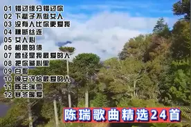疗伤情歌 磁性发烧女声陈瑞歌曲精选串烧24首