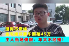 遛狗不牵绳，金毛撞坏豪车要赔45万，主人当场傻眼：车太不经撞