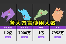 各大方言使用人数排名，上海话、粤语是多少呢？【数据可视化】视频封面
