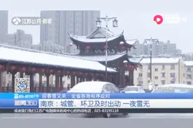天降大雪，南京市城管、环卫及时出动，一夜雪无视频封面