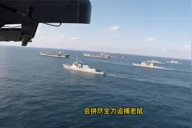 航母老鼠泛滥成灾，美军养猫都没解决，我军用个“笨方法”搞定视频封面