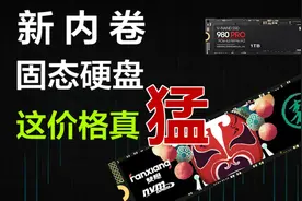 内卷新高度？2T M.2固态硬盘杀出新低价（达墨/梵想）
