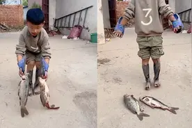 娃去抓鱼一身泥巴回来，爸爸手拿棍子想狠揍，结果看到鱼却犯难了视频封面