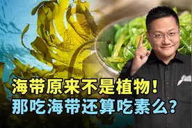 海带原来不是植物！那吃海带还算吃素么？