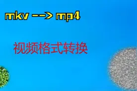 视频格式转换