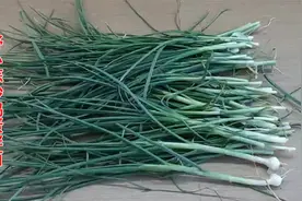 野小蒜有很多种吃法，这样吃具有丰富的营养价值，对人体强健筋骨