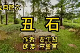 经典散文朗读，《丑石》，贾平凹，蕴含深刻的人生道理