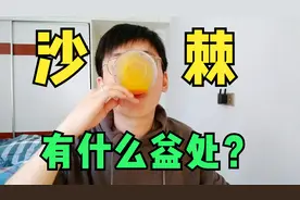 沙棘汁有什么益处？号称沙漠维生素宝库，就是有点难喝