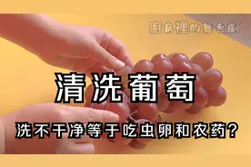 洗葡萄直接用盐水洗等于吃虫卵和农药，水里加点料葡萄皮都可以吃