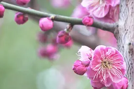 索尼NX100摄像机试拍，从白天到夜晚真实效果视频封面