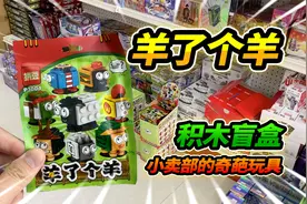 2元钱羊了个羊积木玩具，买了整整一盒，设计师绝对老六