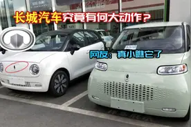 长城汽车果然不简单！欧拉停产的背后，竟然酝酿着惊人的计划！视频封面