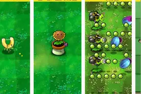 植物大战僵尸：盘点各版本最无赖的植物 BT版直接达成共识！视频封面