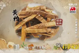 黄柏可清热燥湿，苍术可燥湿健脾，二者合用可治疗湿疹丨健康之路