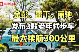 金彭、雷丁、丽驰发布3款老年代步车，最大续航300公里，选哪款？