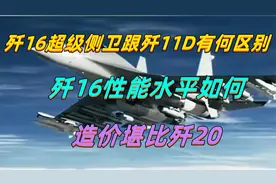 歼16超级侧卫跟歼11D有何区别？歼16性能水平如何？造价堪比歼20
