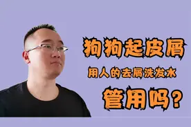 狗狗身上起皮屑，用人的去屑洗发水可以吗？其实做好这2点就行
