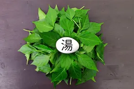 辣椒叶的营养超过辣椒3倍，千万别扔掉，二角钱的成本制作高汤视频封面