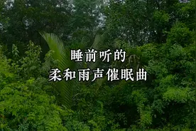 30分钟雨声催眠曲深度睡眠，减压放松，睡前听超级治愈，值得收藏