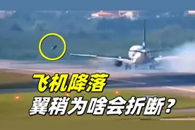 客机侧风中摇晃落地，翼梢小翼竟射向空中，揭秘机翼的鞭梢效应视频封面