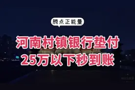河南村镇银行后续，25万以下的储户，最快两分钟到账视频封面