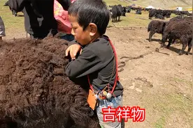 藏族小朋友喜欢戴吉祥物，脖子上，斜挎背着。