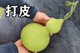 秋天为什么要为葫芦去皮，如何把葫芦瓜做成文玩葫芦？视频封面